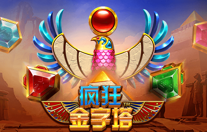 五五世纪官网平台